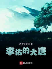 李佑的大唐封面图片