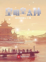 皇明皇太孙封面图片