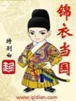 锦衣当国封面图片