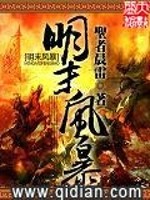 明末风暴封面图片