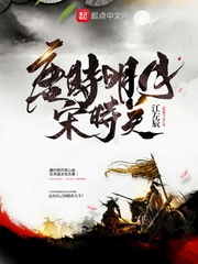 唐时明月宋时关封面图片