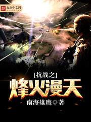 抗战之烽火漫天封面图片