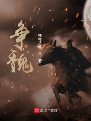 争魏封面图片