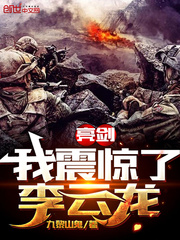 亮剑：我震惊了李云龙封面图片