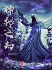 神秘之劫封面图片