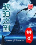 琥珀之剑封面图片