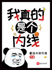 我真的是个内线封面图片