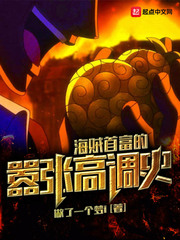 海贼首富的嚣张高调史封面图片