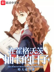 在霍格沃茨抽卡的日子封面图片