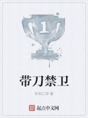 带刀禁卫封面图片