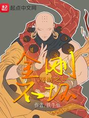 网游之金刚不坏封面图片