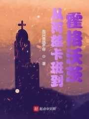 从阿兹卡班到霍格沃茨封面图片