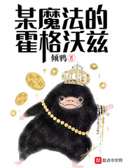 某魔法的霍格沃茨封面图片