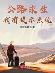 公路求生，我有提示系统封面图片