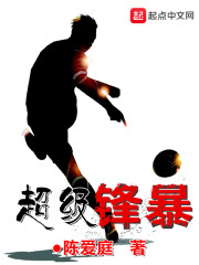 超级锋暴封面图片