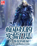 疯巫妖的实验日志封面图片