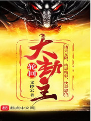 轮回大劫主封面图片