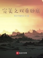 完美之双重卧底封面图片
