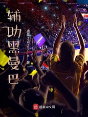 辅助黑曼巴封面图片