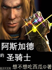 阿斯加德的圣骑士封面图片