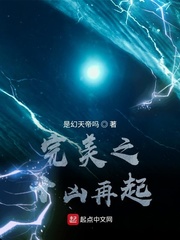 完美之十凶再起封面图片