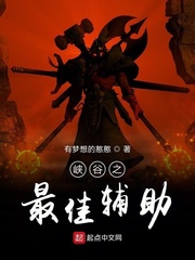 峡谷之最佳辅助封面图片