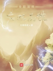 全职法师之双属性封面图片