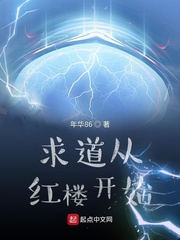 求道从红楼开始封面图片