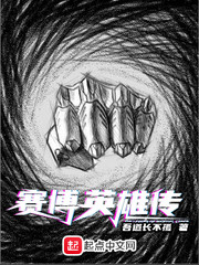 赛博英雄传封面图片