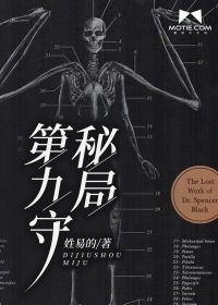 第九守秘局封面图片