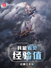 我能看见经验值封面图片