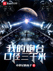我的炮台口径三千米封面图片