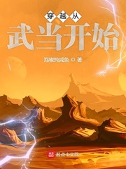 穿越从武当开始封面图片