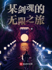 某剑魂的无限之旅封面图片