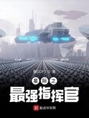 星际之最强指挥官封面图片