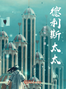 德利斯太太封面图片