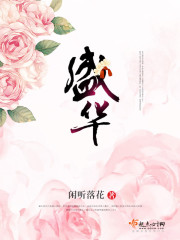 盛华封面图片