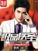 极品医圣封面图片