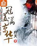 冠盖满京华封面图片