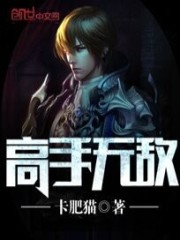 高手无敌封面图片