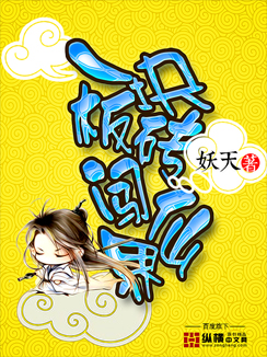 一块板砖闯仙界封面图片