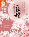 良婿封面图片