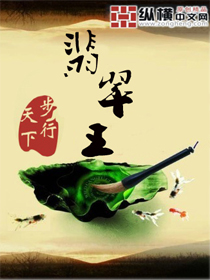 翡翠王封面图片