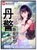 丹警封面图片