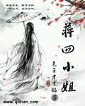 蒋四小姐封面图片