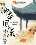 卿本风流封面图片