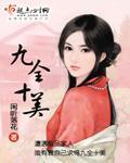 九全十美封面图片