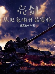 亮剑：从赵家峪开始震惊封面图片