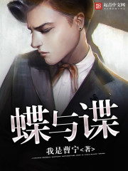 蝶与谍封面图片