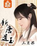 新唐遗玉封面图片